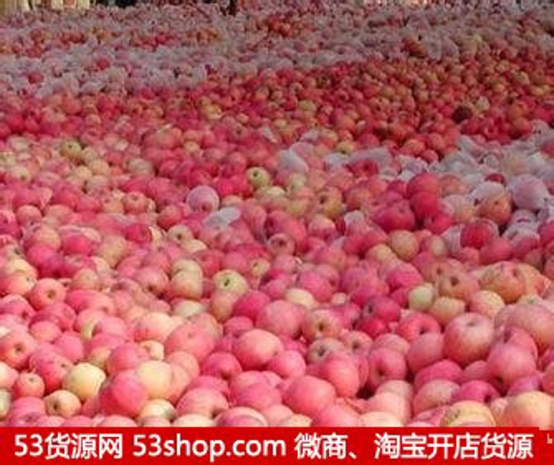 武汉食品批发行业的繁荣与挑战