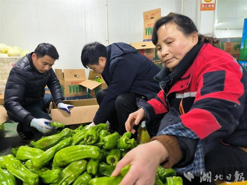 武汉食品批发行业的竞争态势如何？让我们通过对比分析，揭示其中的优势与劣势。